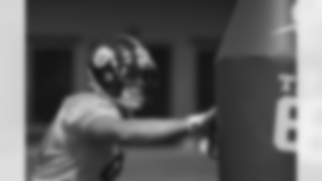 T.J. Watt
