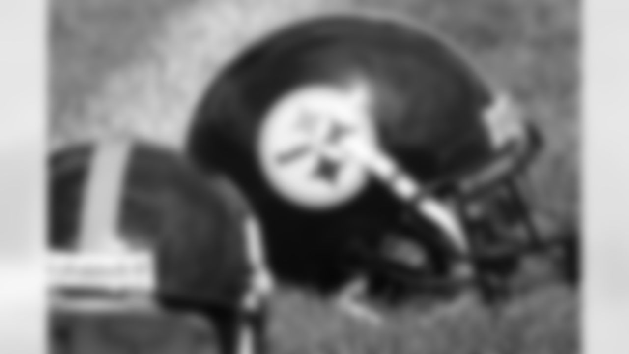 09_MC501_Hemlet