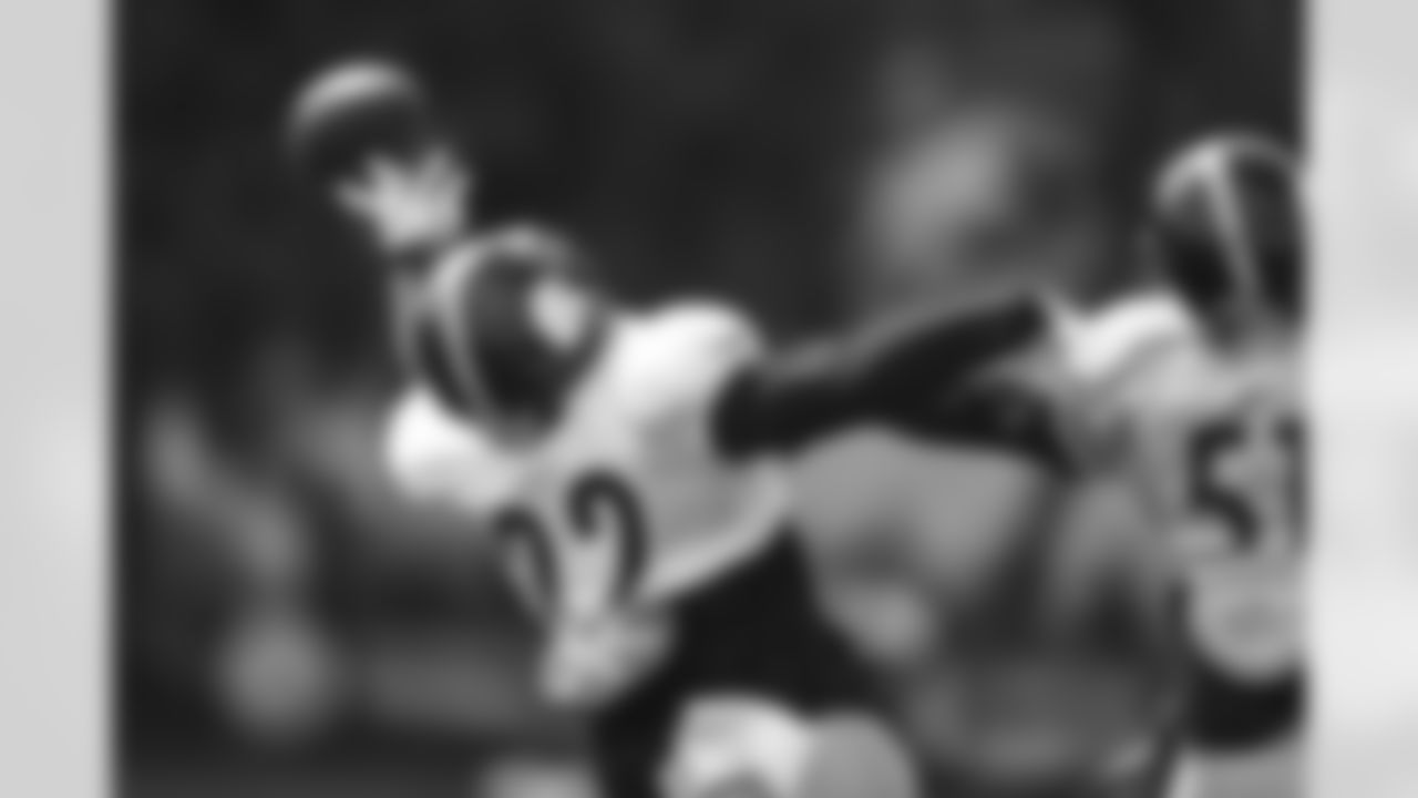 Stevan Ridley