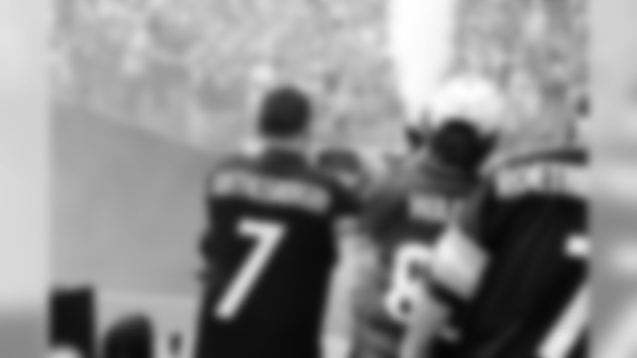 A 2017 Regular Season game between the Pittsburgh Steelers and the Minnesota Vikings on Sunday September 17, 2017. The Steelers defeated the Vikings 26-9.