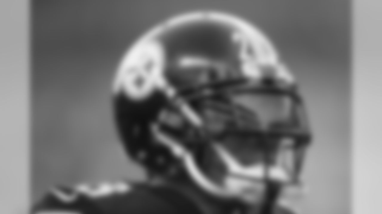 Joe Haden
