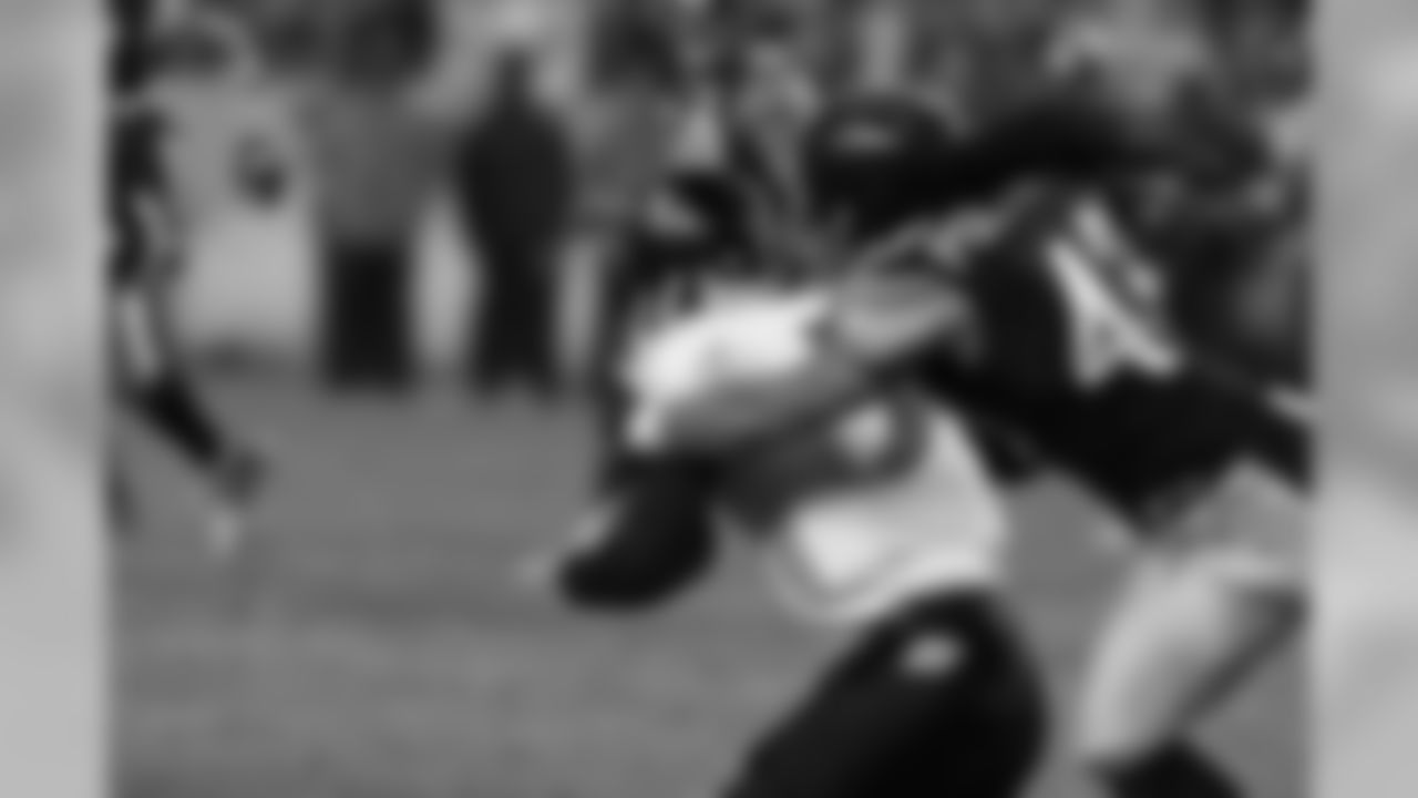 08_BAL3_polamalu