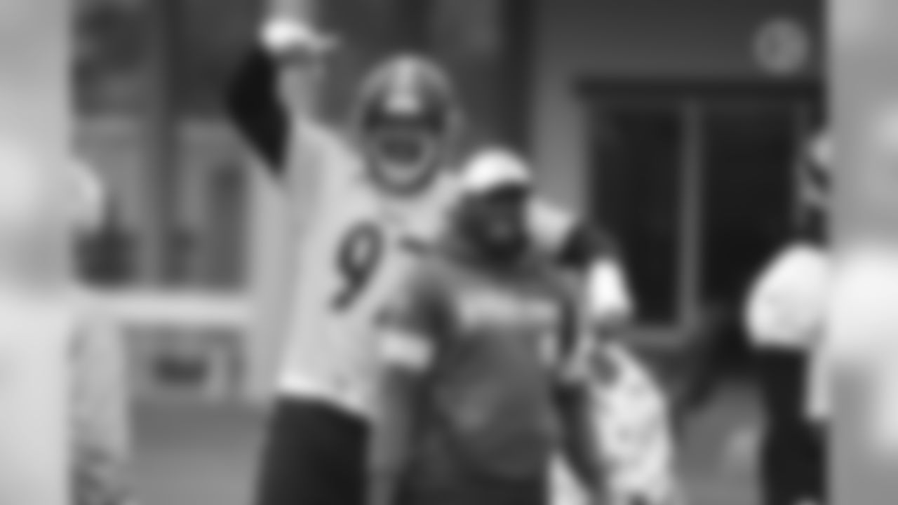 Cameron Heyward and Will Gay