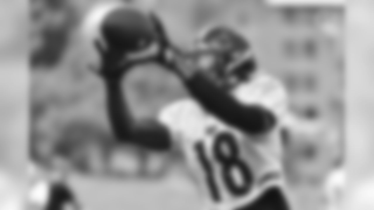 Diontae Johnson