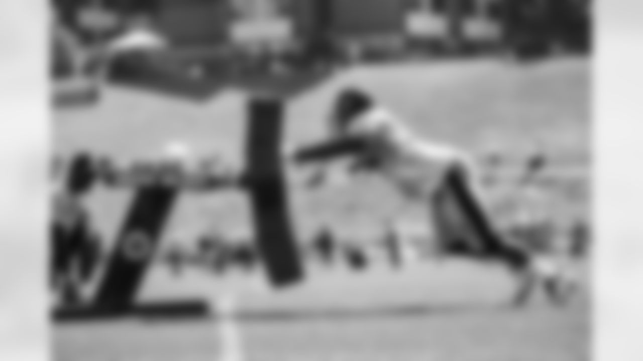 Stephon Tuitt