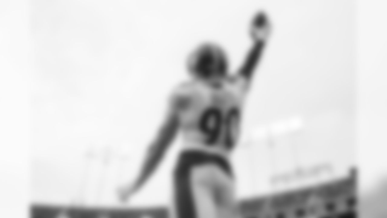T.J. Watt