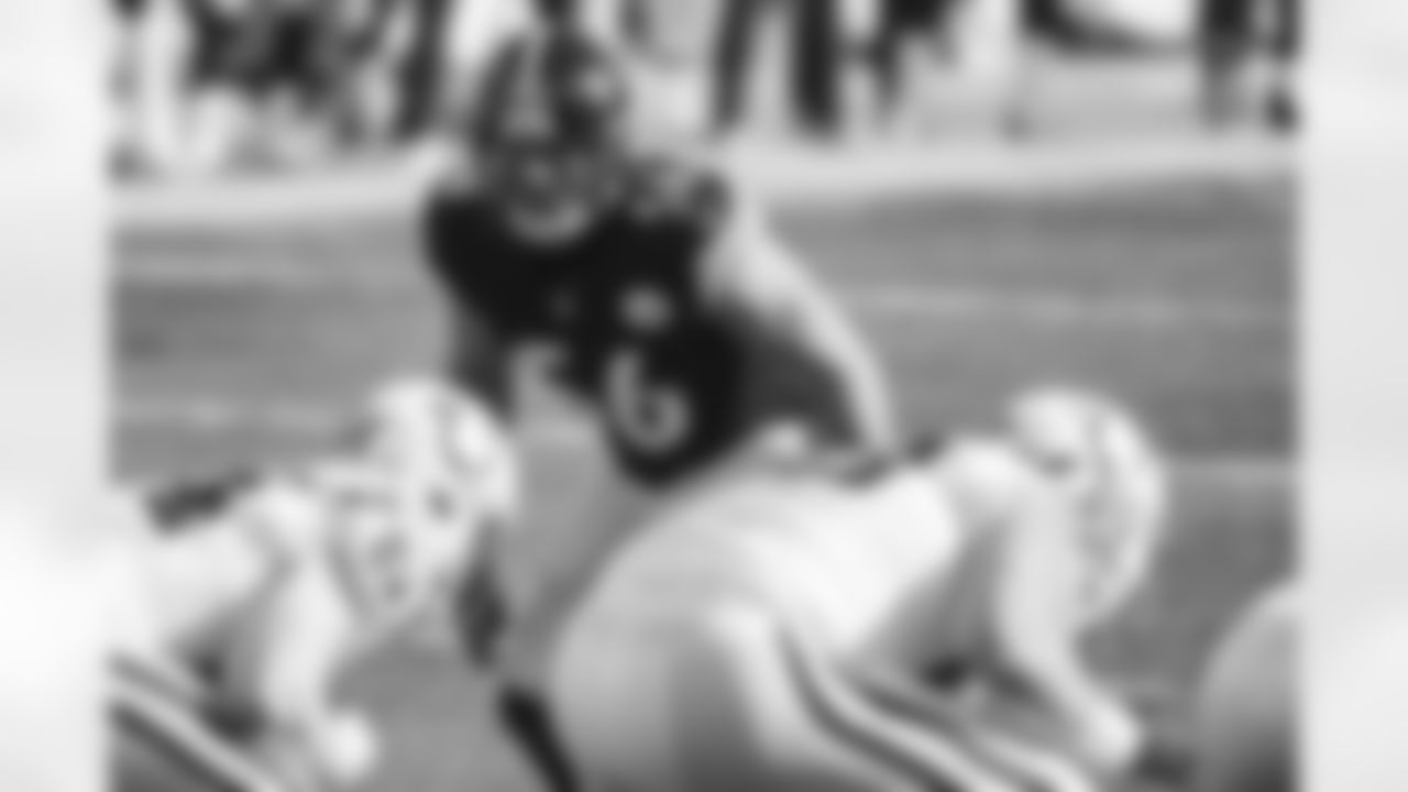 Pittsburgh Steelers linebacker Alex Highsmith (56) during a regular season game between the Pittsburgh Steelers and the Indianapolis Colts, Sunday, Dec. 27, 2020 in Pittsburgh, PA. The Steelers beat the Colts 28-24. (Caitlyn Epes / Pittsburgh Steelers)
