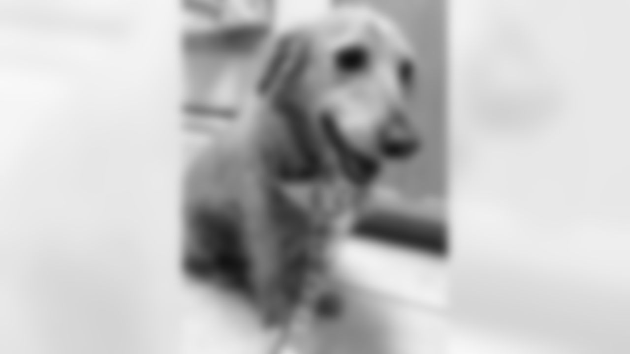 Hero, submitted by Maria M.