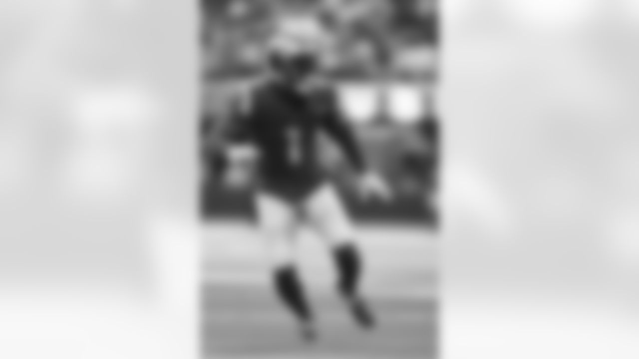 WR Allen Robinson II