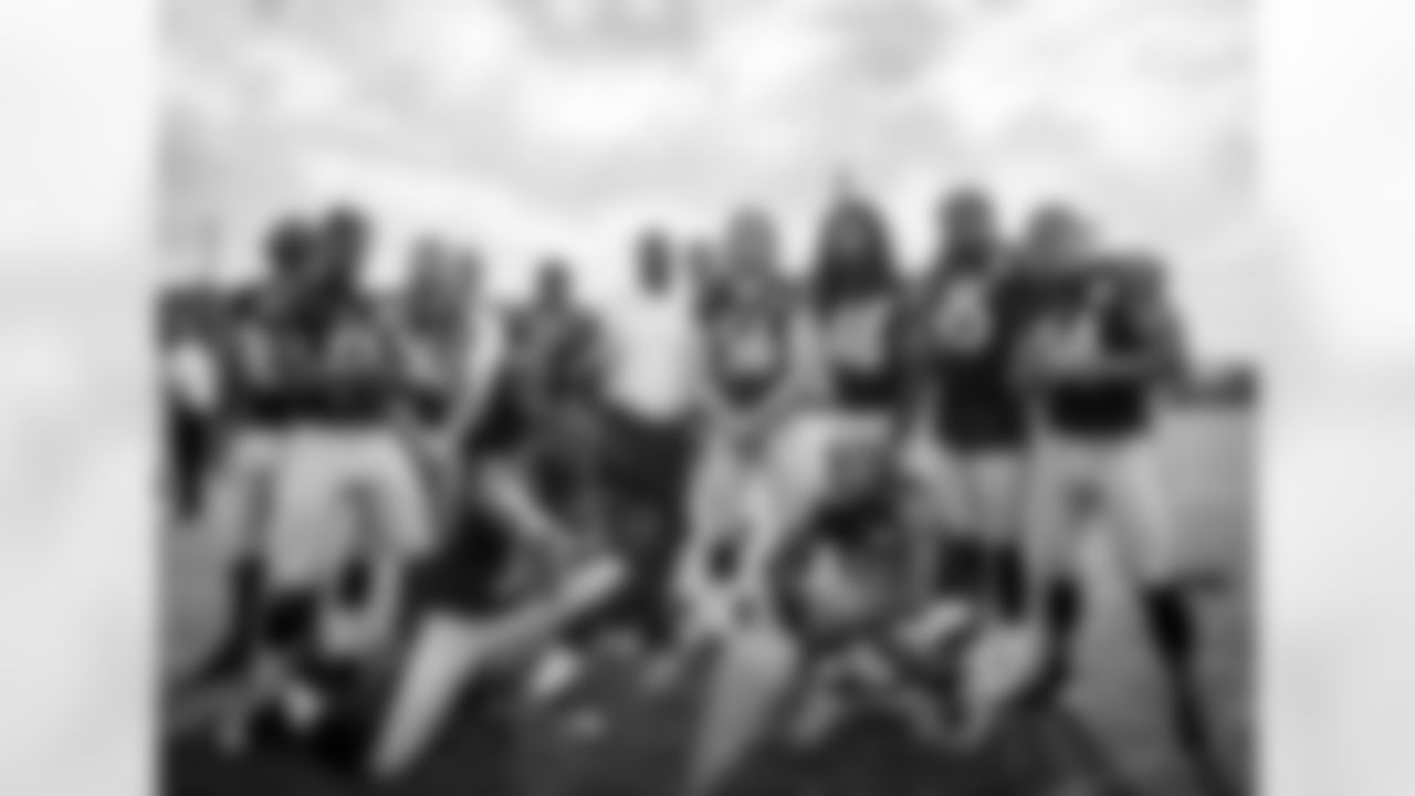 Vince Williams, Steven Johnson, Tyler Matakevich, Jerry Olsavsky, James Harrison, Arthur Moats, Lawrence Timmons, Joey Porter, Travis Feeney, Anthony Chickillo, Bud Dupree, Jarvis Jones, L.J. Fort, and Ryan Shazier