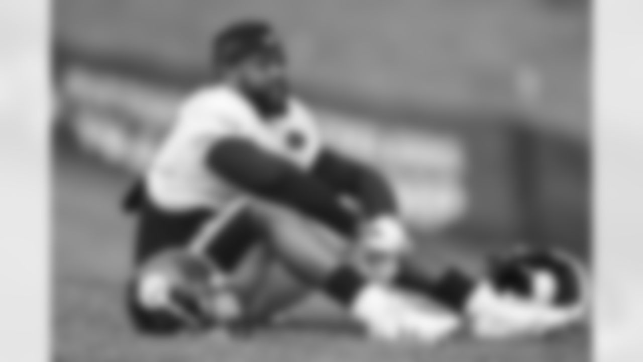 Stevan Ridley