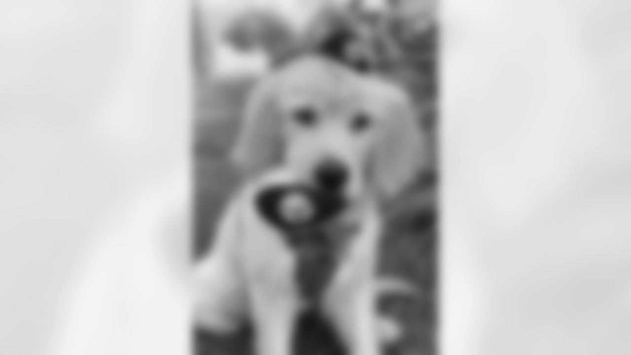 snutowel_82564331last_82564331first_Jul420201222PM_82564335_88747085_56C2C00AE88D4A65878E0916C678DBEE