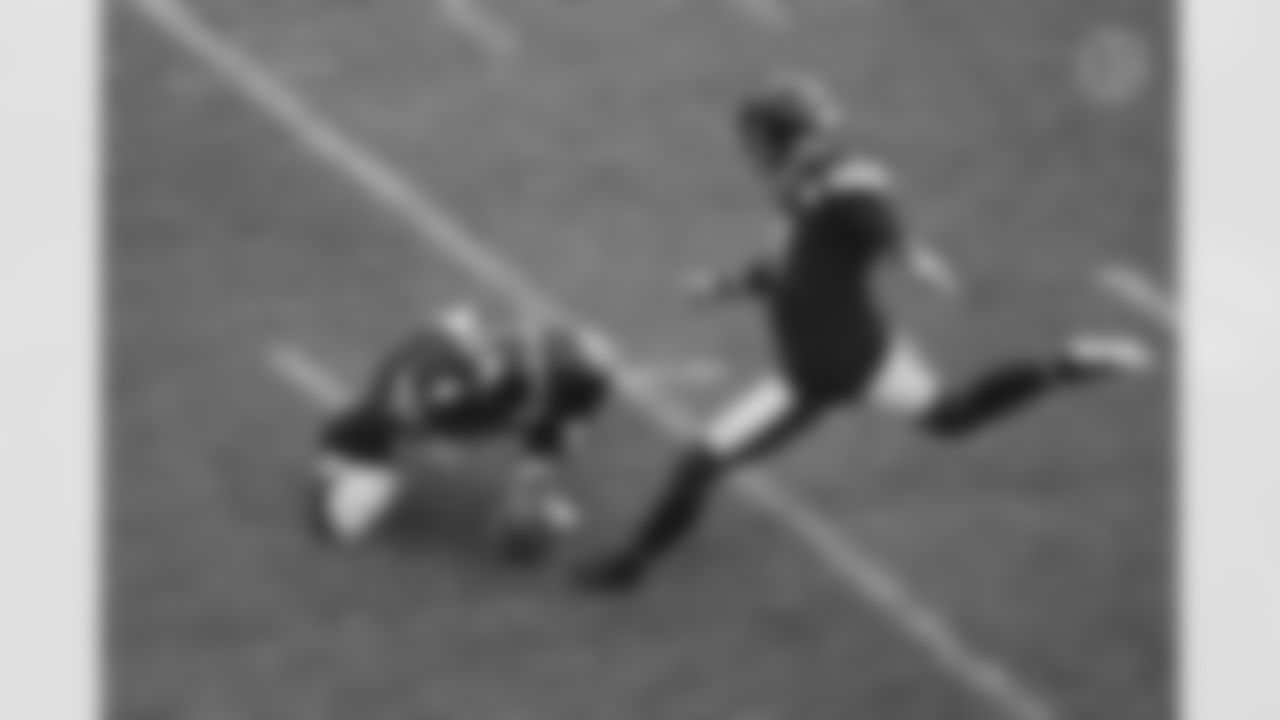 Chris Boswell (2015-present)