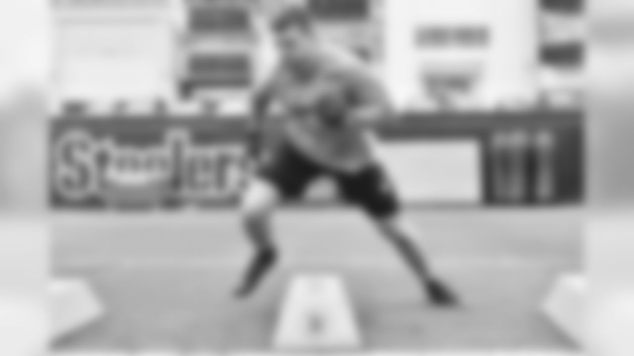 T.J. Watt