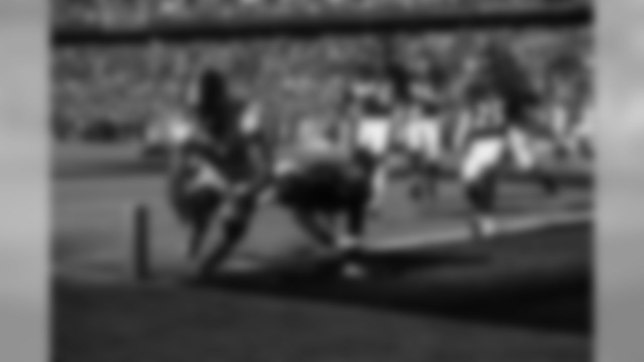 Regular Season Week 17 - Steelers at Ravens (Last game played at BAL in 2018)