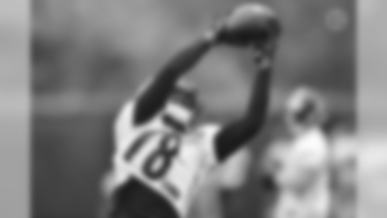 Diontae Johnson