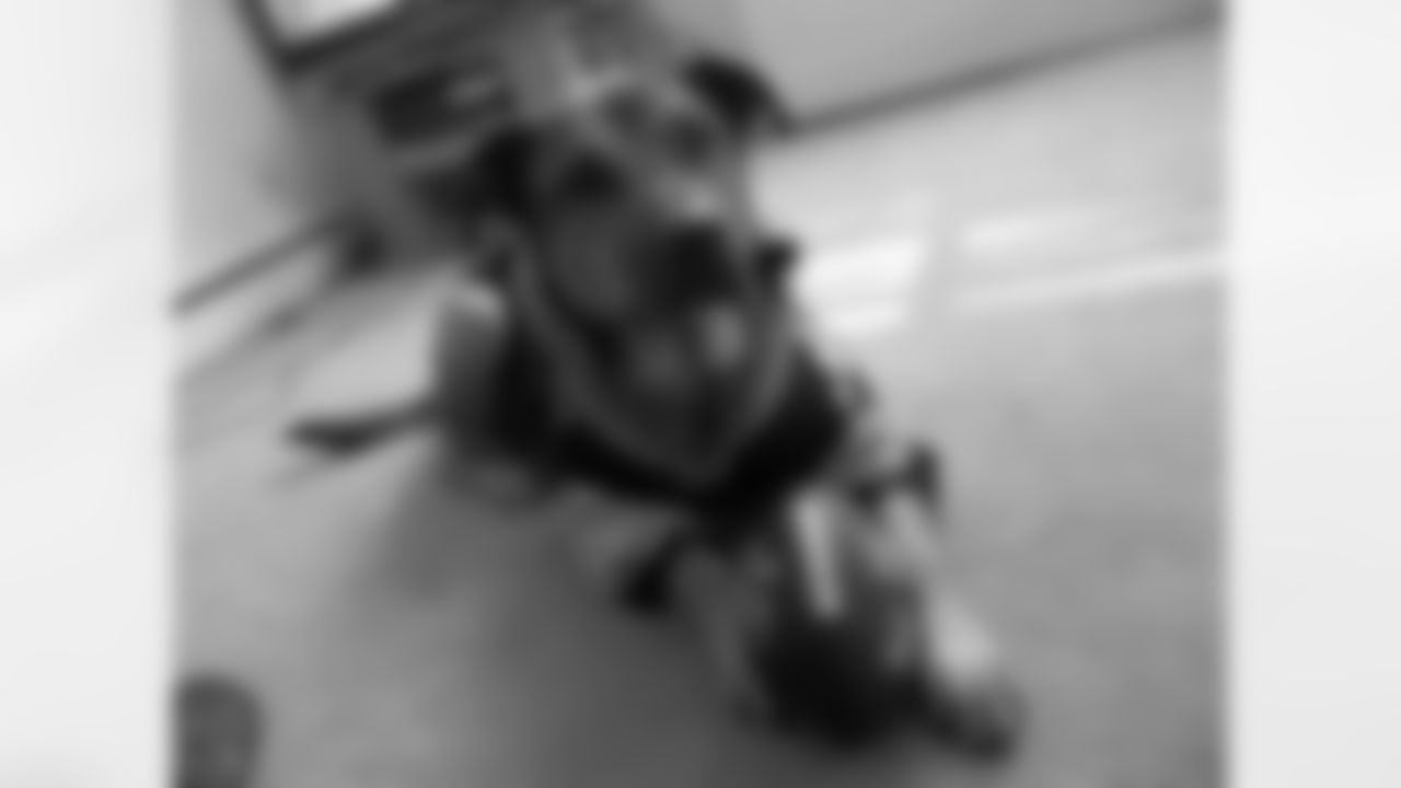 Rocky, submitted by Ashleigh W.