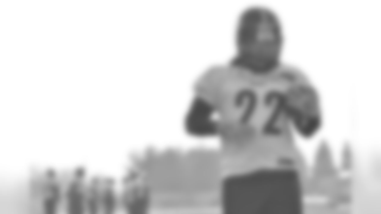 Stevan Ridley