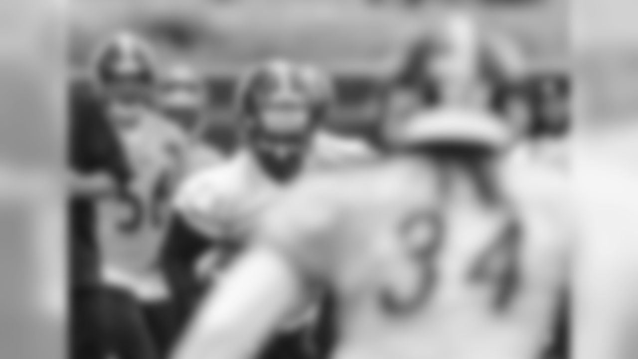 Stevan Ridley
