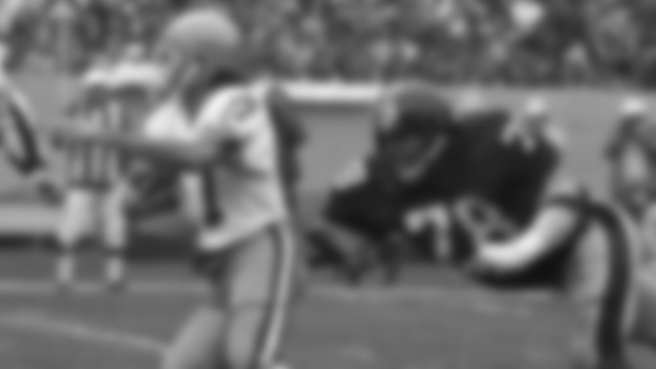 : DWIGHT WHITE PITTSBURGH STEELERS 8X10 SPORTS ACTION PHOTO J :  Sports Fan Photographs : Sports & Outdoors