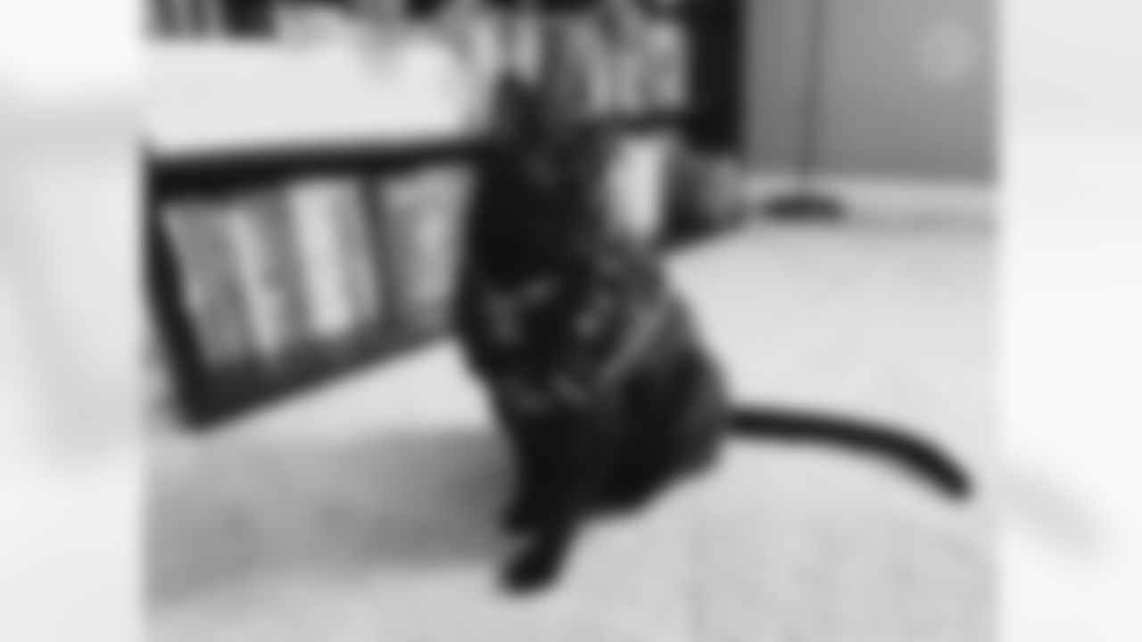 Submitted by Allison Henson