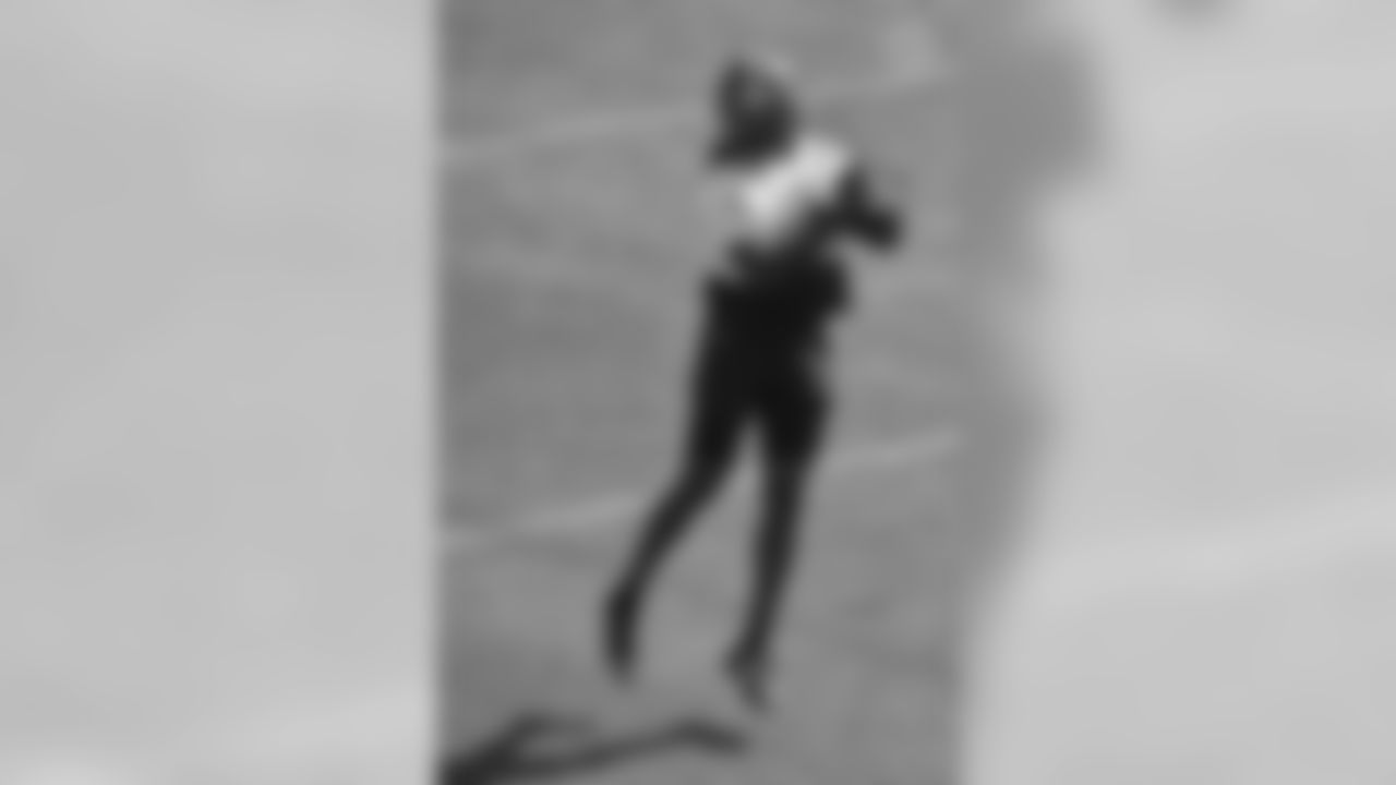 Diontae Johnson