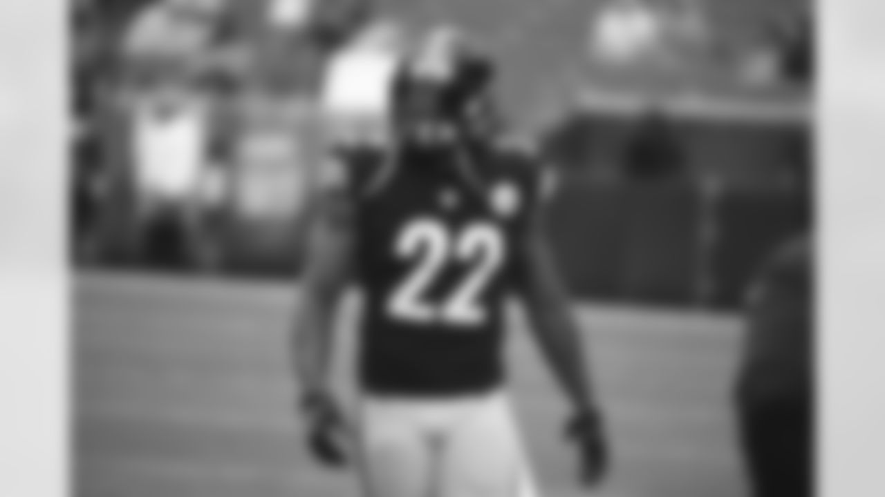 Stevan Ridley