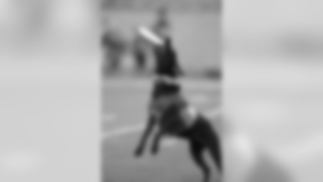 Super Dog