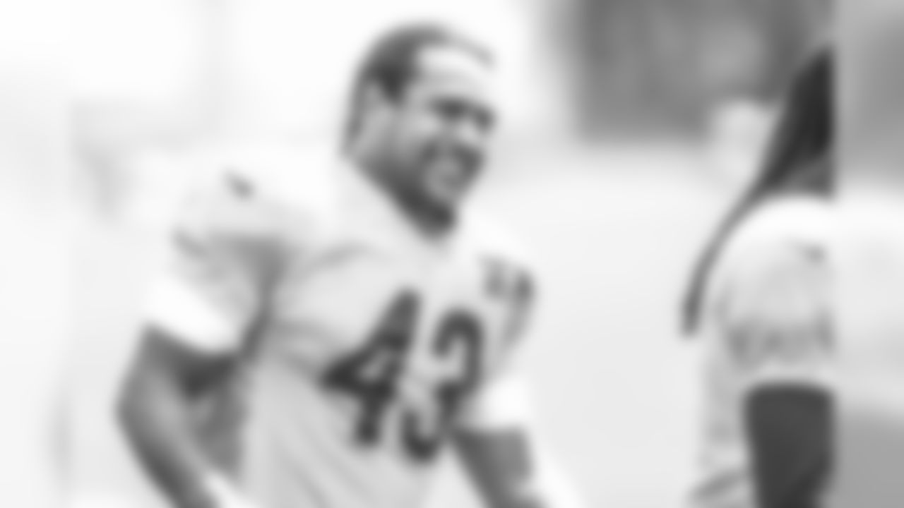 Troy Polamalu - S