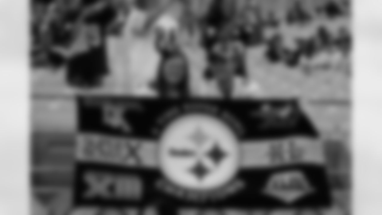 09_ARZ_fan15