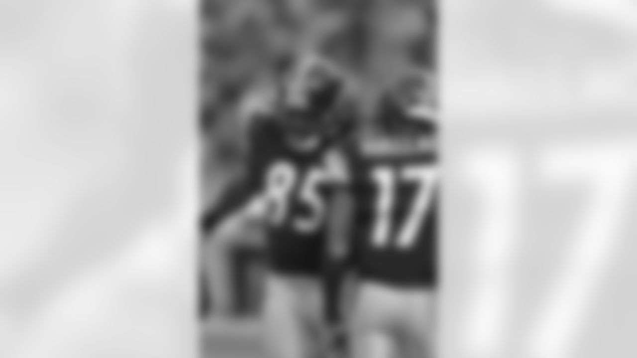 David Johnson (2009-2013)