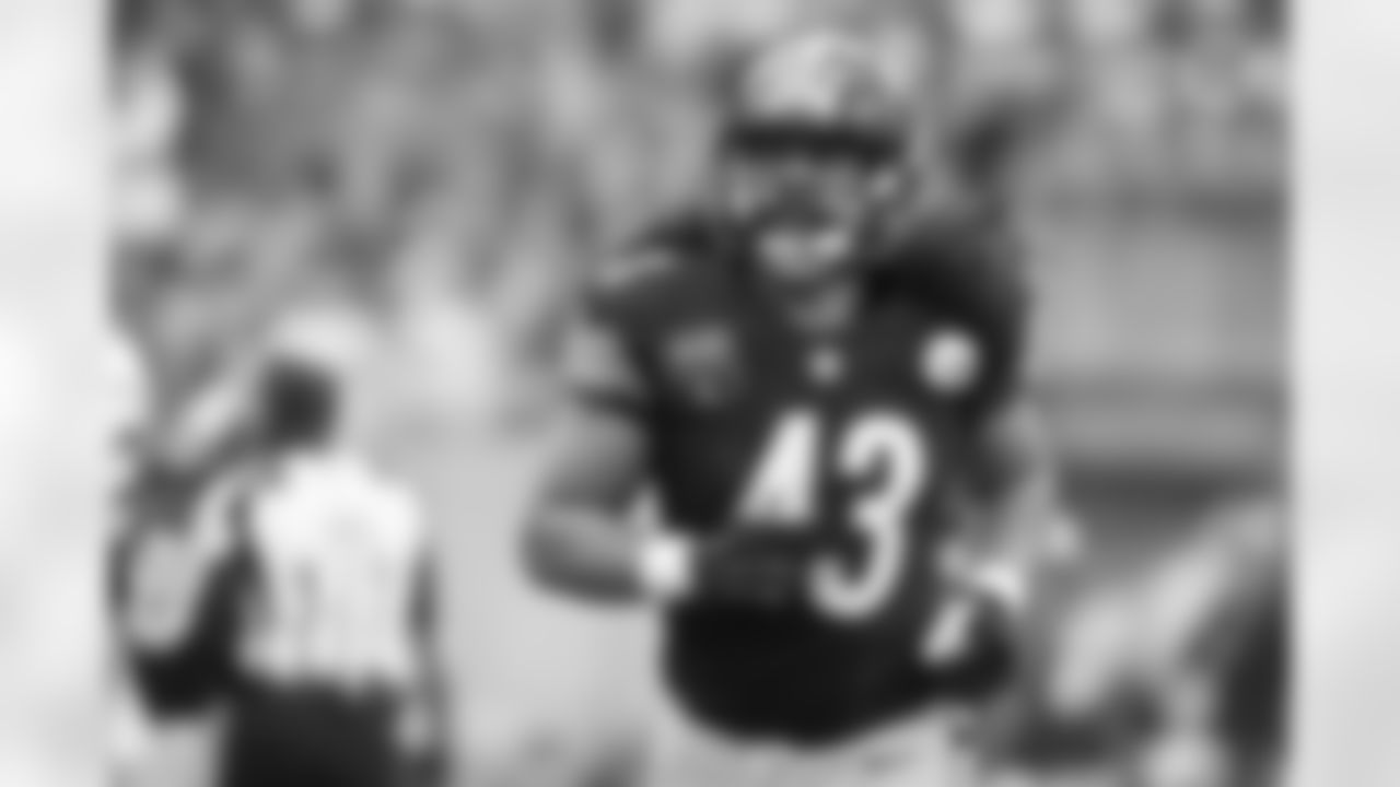 Troy Polamalu
