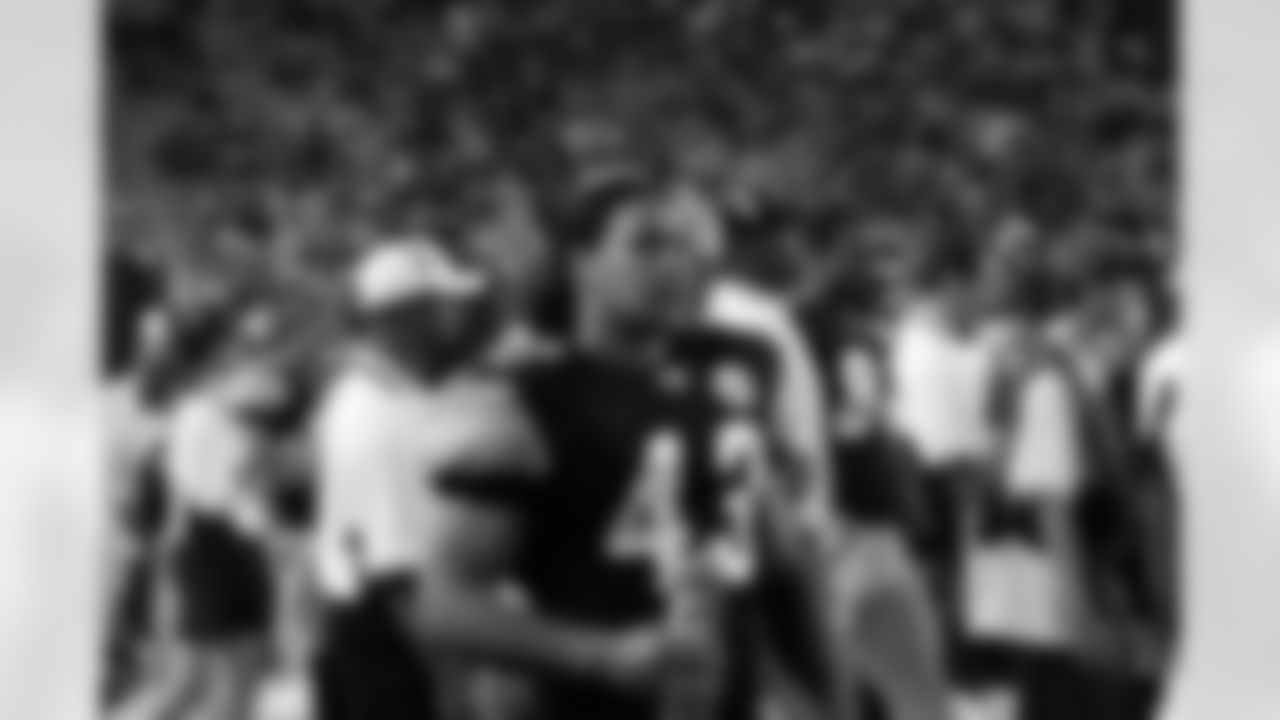 09_ARZ_polamalu2
