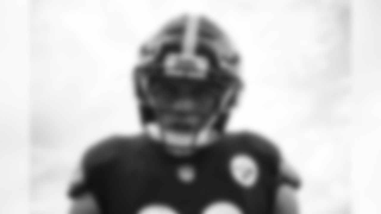 T.J. Watt
