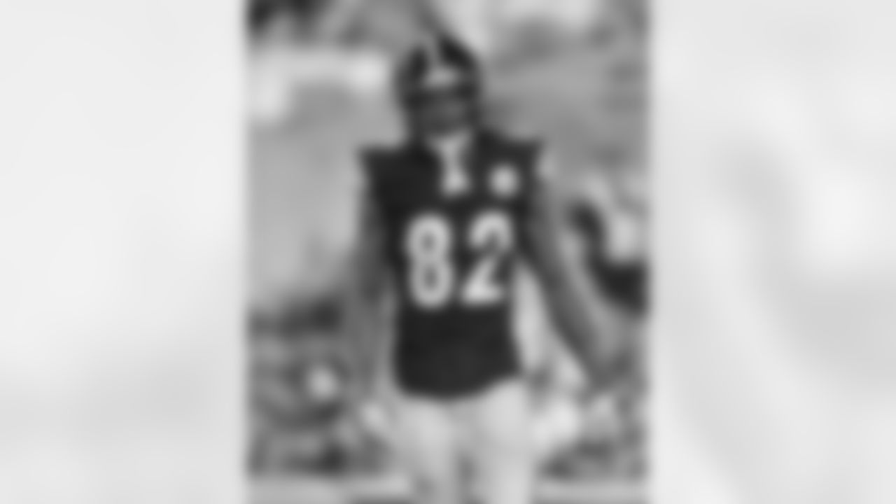 WR Dez Fitzpatrick
