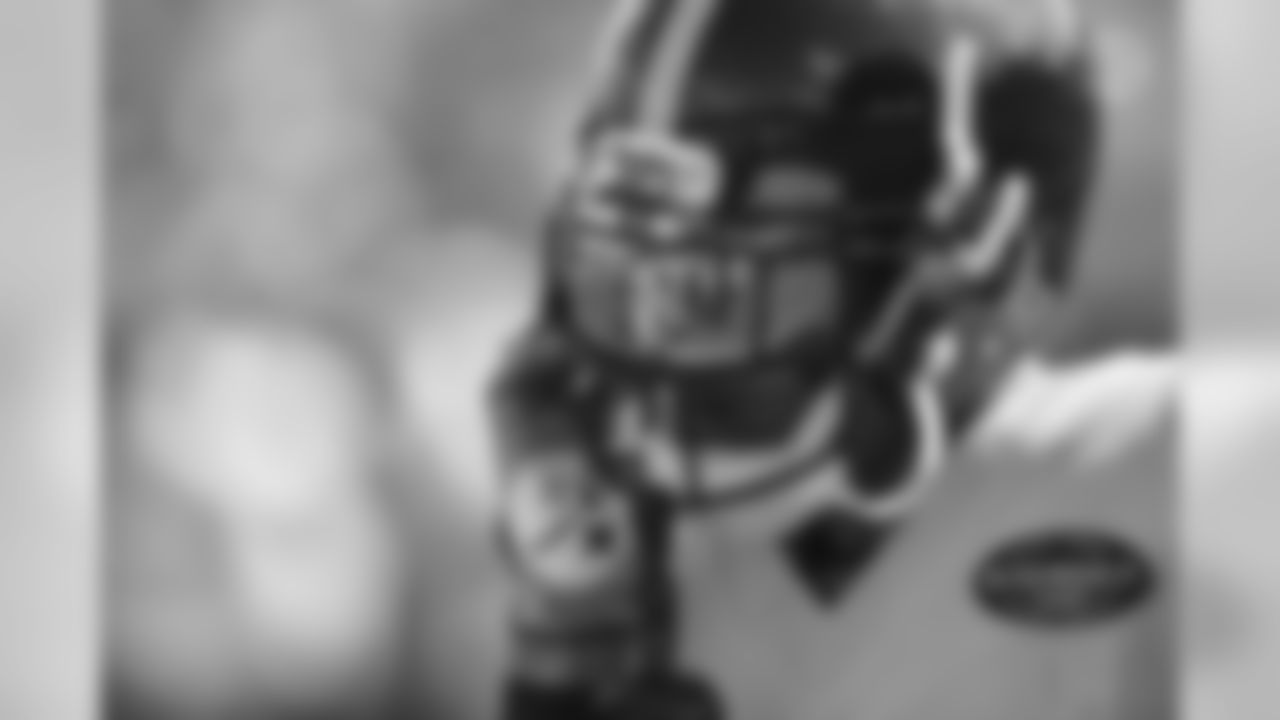 Joe Haden