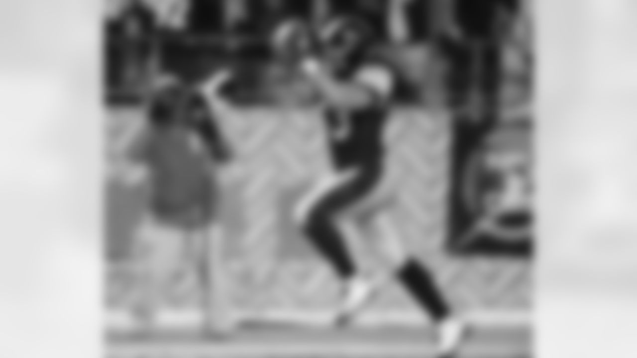 Troy Polamalu