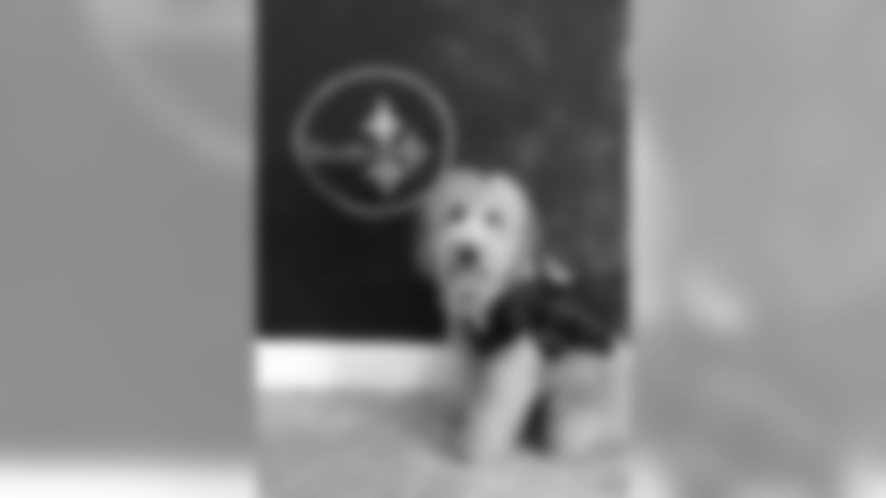 snutowel_82564331last_82564331first_Mar82020934AM_82564335_88747085_D10E0F5BA59848FF91B508AC455A7538