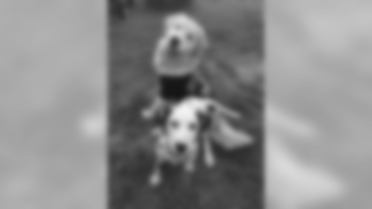 snutowel_82564331last_82564331first_Feb282020200PM_82564335_88747085_711A7C6F9F704F3EB33C7BC85BD14821