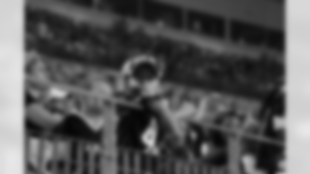 09_ARZ_fan19