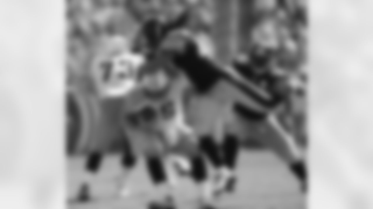 Troy Polamalu