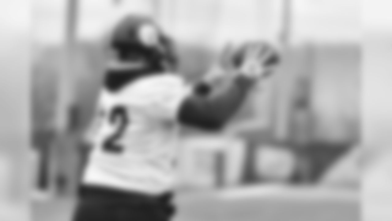 Stevan Ridley