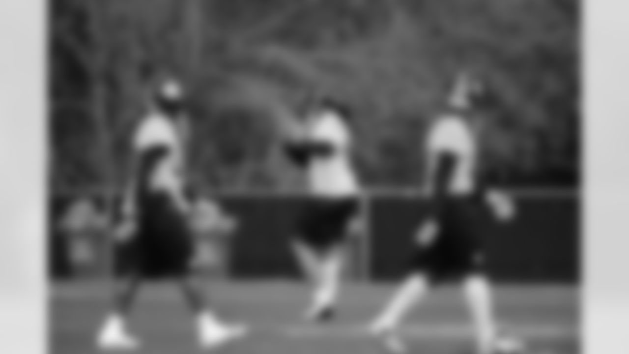 08_SB_Day4_Polamalu