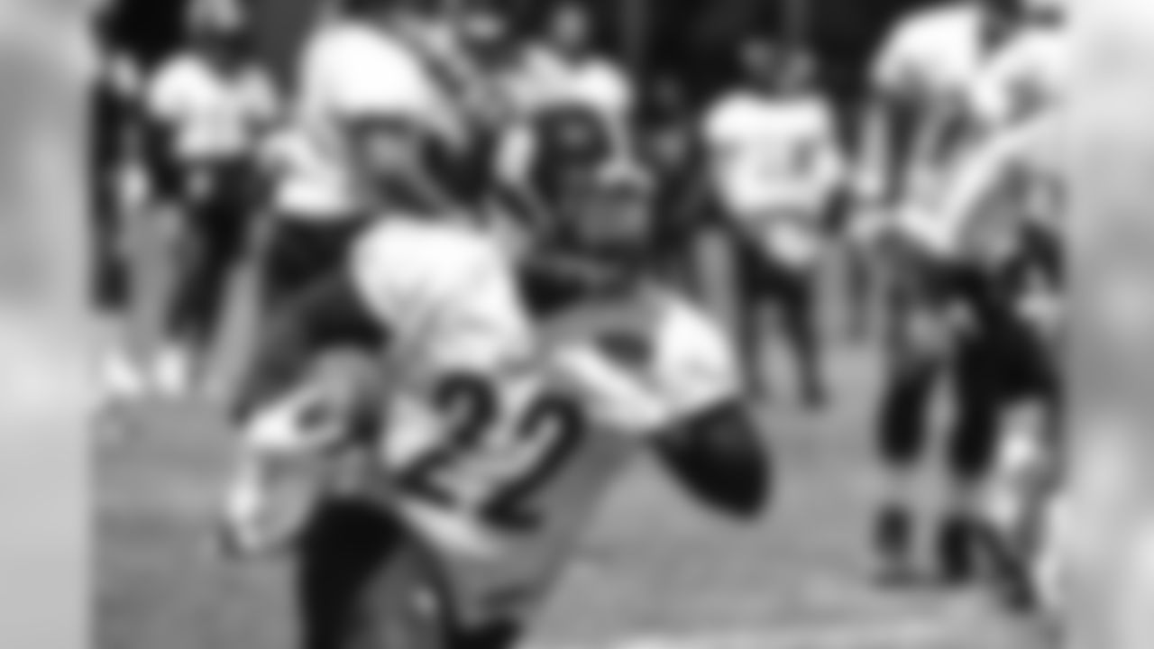 Stevan Ridley