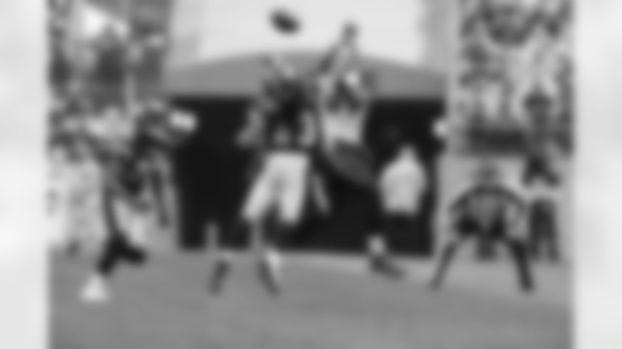 Troy Polamalu