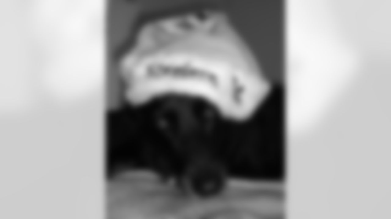 Polamalu, submitted by Janet E.