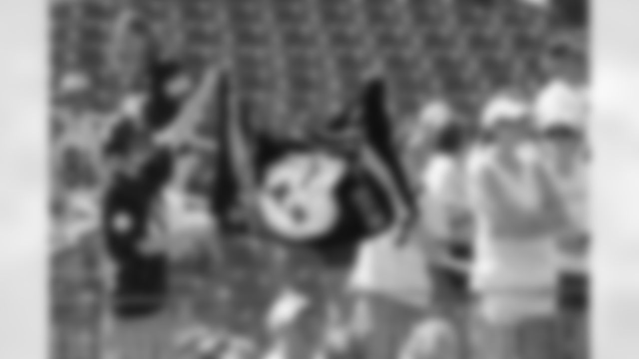 Steelers Fans in Tennessee