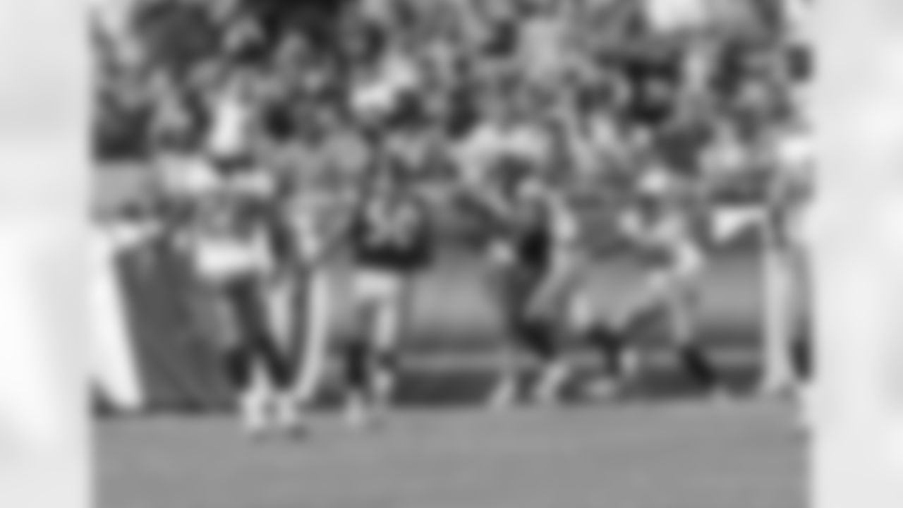 Troy Polamalu