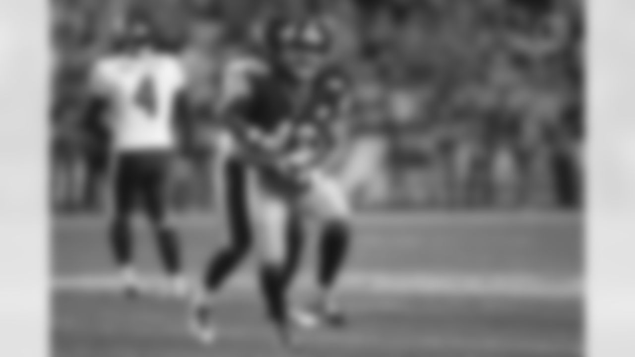 Troy Polamalu