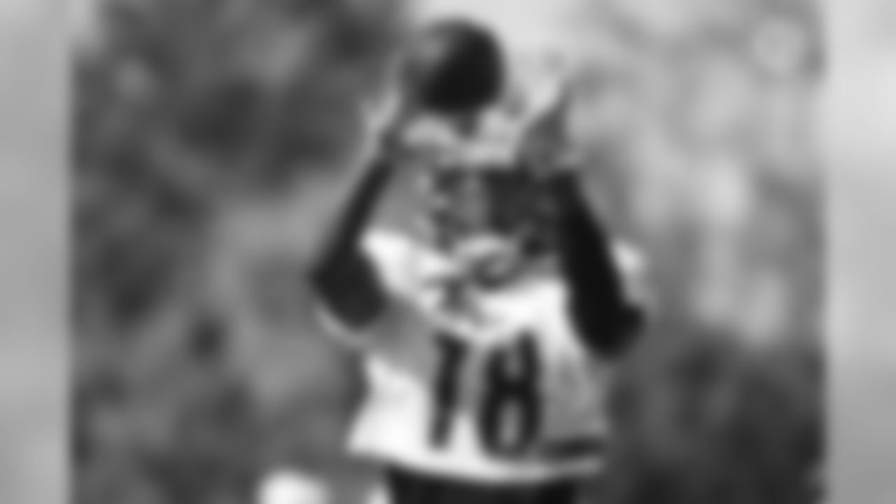 Diontae Johnson